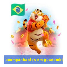 acompanhantes em guanambi